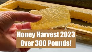 Honey Harvest 2023  spring swarms harvesting extraction bottling and beeswax of whole season 🍯 [upl. by Anirhtak]