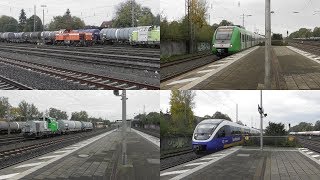 Bahnverkehr in GladbeckWest2019 mit Br 648 Talent 1 Br 422 und Rangieren mit G1206 amp G6 [upl. by Okoyk]