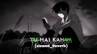 NEW HENDY SONG TU HAI KAHAN💐💞SLOWEDREVERB gaurab viral 💐💗 [upl. by Gnart]