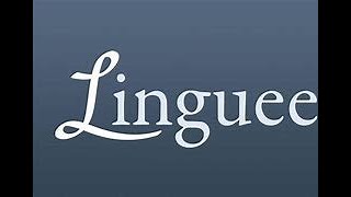 O Site Tradutor De Idiomas Linguee [upl. by Fitton]