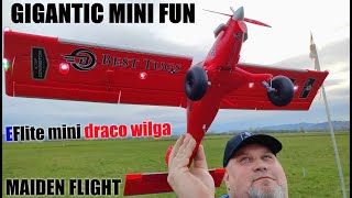 Micro DRACO WILGA STOL 800mm BNF 4S power RC plane MAIDEN FLIGHT [upl. by Nnylrahc]