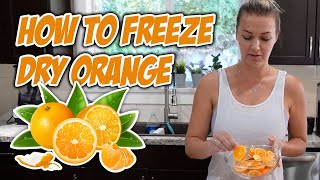 How to Freeze Dry Orange [upl. by Iila]