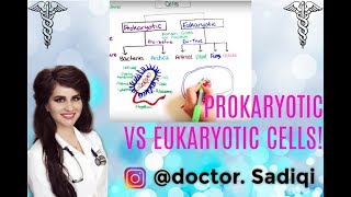 BASICS OF PROKARYOTIC AND EUKARKOTYIC CELLS EXPLAINED UNDER 7 MINUTES [upl. by Etireugram]