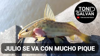 COSTANERA NORTE 27072024 PESCA LLENO DE BAGRES [upl. by Ahearn]