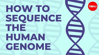 How to sequence the human genome  Mark J Kiel [upl. by Bardo]