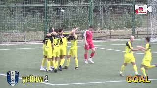 Mihajlo Stojanovic highlights [upl. by Rus]