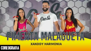 Pimenta Malagueta  Xanddy Harmonia  DanSa  Daniel Saboya Coreografia [upl. by Atneuqal]