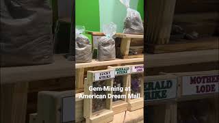 Gem Mining at American Dream Mall shorts shortvideo americandream nj 2023 travel cool fyp [upl. by Guilbert]