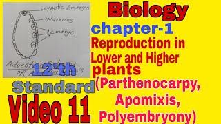 Apomixis  Parthenocarpy  Polyembryony  Chapter 1 Biology  HSC  class 12  video 11 [upl. by Mehs]