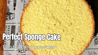 EVERY Detail for Making a Perfect Sponge Cake  Easy Reliable Sponge Cake Recipe [upl. by Deelaw]