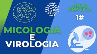 Micologia e Virologia AULA PRÁTICA 1 [upl. by Lorene]