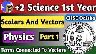 Scalar And Vector Quantities Physics  Vectors Physics Class 11th  2 Science First Year [upl. by Sherrer]