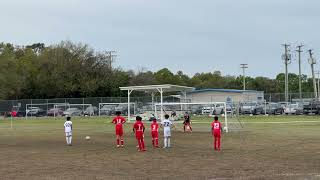 U 10 Match Div 1 Tampa Dynamo FC at West Florida Flames Gold Team Dynamo Loss 2 to 4 March 2 2024 [upl. by Angelico]