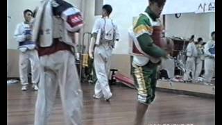 Taekwondo Training in Korea SKKU Sung Kyun Kwan Univ 1997 [upl. by Shirlee47]