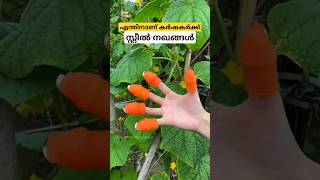 മികച്ച ഒരു കണ്ടുപിടുത്തം thumb knife cutter malayalam shorts [upl. by Nnagem831]