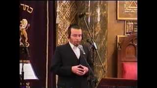 Cantor Yaakov Stark sings Hashem Moloch [upl. by Omar]