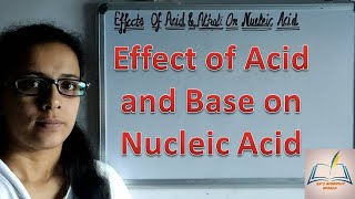 Effect of Acid and Base on Nucleic Acid Structure of DNA and RNA DNA hydroysis Rna hydrolysis [upl. by Yetnruoc]