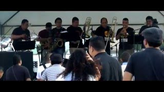 Vibrass Ska Ensamble quot5 days of Tequilaquot Skapara Cover [upl. by Ellehcear]