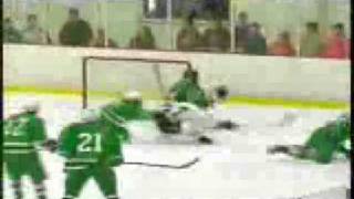 Minnesota High School Hockey [upl. by Assirrec162]