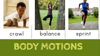 Body Motion Verbs [upl. by Atinrev185]