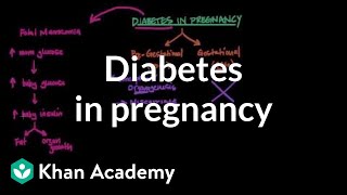 Diabetes in pregnancy  Reproductive system physiology  NCLEXRN  Khan Academy [upl. by Ennaitsirk]