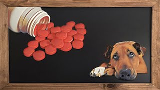 Canine arthritis medications [upl. by Starkey]