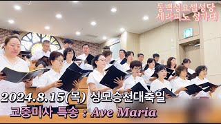 2024815목 성모승천대축일 특송  아베마리아 Ave Maria [upl. by Freddy]