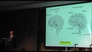 The Neurobiology of Freedom [upl. by Philemon]