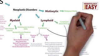 WBC Disorders ClassificationLeukocytosisLeukopeniaLeukemiaLymphoma [upl. by Khalil447]