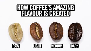 Coffee Roasting Explained [upl. by Bohs945]