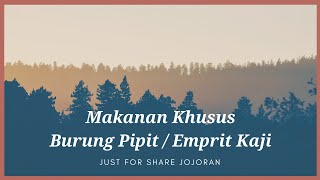 Makanan khusus burung Pipit emprit emprit kaji dan emprit jepang [upl. by Ennavoj]