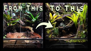 Vivarium Overhaul [upl. by Adnirual]