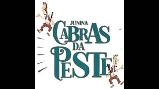 COM ORGULHO EU SOU  JUNINA CABRAS DA PESTE [upl. by Shaer]