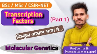 Transcription Factors  Promoters Enhancers Repressors  हिंदी में  BSc MSc CSIRNET [upl. by Fitts193]