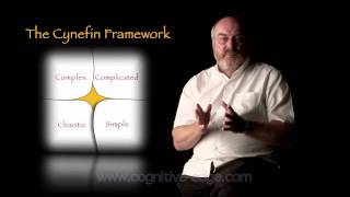 The Cynefin Framework [upl. by Aiekat]