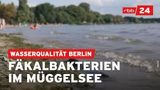 Warnung vor Bakterien im Müggelsee und Wannsee in Berlin [upl. by Anak351]