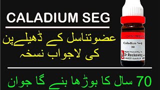 Caladium Homeopathic Medicine  Caladium Seguinum 200 Benefits [upl. by Salena602]