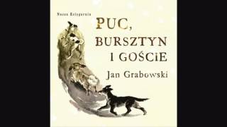 PUC BURSZTYN I GOŚCIE 4 6 Lektura do słuchania Jan Grabowski [upl. by Flannery225]