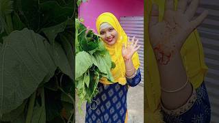 Muslim style pumpkin leaves vegetable recipe 🎃🎃🎃 recipe vegetables shorts [upl. by Pros338]