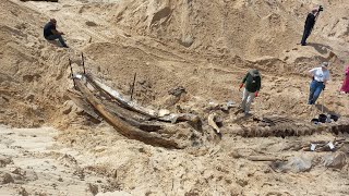 Fin Whale  EP1 Washed Up and Buried [upl. by Maribel]