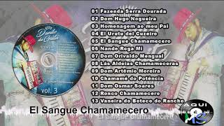 Danilo da Gaita  El Sangue Chamamecero  Vol03 CD Completo [upl. by Lewison]