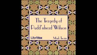 The Tragedy of Puddnhead Wilson Audio Book Tom Stares at Ruin [upl. by Annabella]