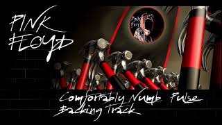 Pink Floyd Guitar Backing Track Comfortably Numb live Pulse Full HD version 2 [upl. by Mellisa770]