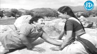 Maavi Chiguru Song  Seetha Mahalakshmi Movie Songs  ChandraMohan  Talluri Rameswari [upl. by Wallford495]