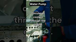 Water Pumps Essential Tips and Functions for Beginners shorts reels viral [upl. by Annahgiel131]