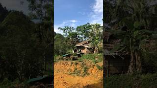 thatched house in the middle of mountainous countryside chauthitung farming lythica bamboohouse [upl. by Sokcin473]