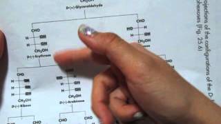 How to Memorize the Dfamily of aldoses to aldohexoses chart [upl. by Kalindi]