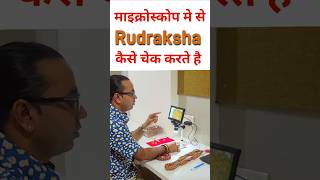 How To Identify Original Rudraksha In Microscope 🔬 astrology rudraksha song [upl. by Radek]