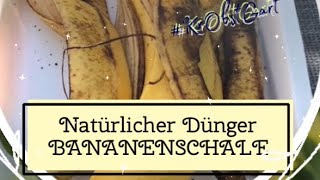 Natürlicher Dünger aus Bananenschale [upl. by Oel668]