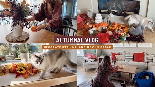 Cosy Autumnal vlog  Decorate with me Autumnal decor ideas new decor from The Range and a haul 🍂 [upl. by Avehsile]